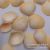 Egg Shell Natural Conch Small Shell Deck Layout Wall Sticker Decoration Creative Micro Landscape DIY Drift Bottle Material
