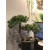 Factory store is equipped with potted plants with soft decoration in Zen Home Office