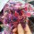 Korean Disposable Rubber Band Thickened Strong Pull Constantly Children's Baby Adult Hair Ring Headdress Rubber Band Hair Band Hair Band