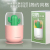 Cactus Small Night Light Humidifier Portable Student Dormitory Spray Household Bedroom Noiseless USB Air Office