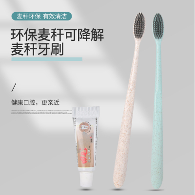 Environmental Protection Straw Non-Disposable Tooth Set Washing Set Black Charcoal Soft Hair Dental Tool