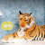 Plush Toy Doll Simulation Tiger Gift Home Photography Prop Decoration Chinese Zodiac Tiger Mascot