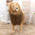 Simulation Lion Plush Toy Large Cute Doll for Girls Children's Birthday Gifts Photography Home Decoration