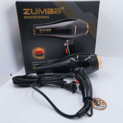 Professional Black Household Single Wind Collector Curly Hair High-Power Anion Heating and Cooling Air Spiral Hair Dryer