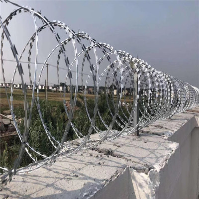 Factory Wholesale Stainless Steel Razor Barbed Wire Prison Anti-Creeper Hot Dip Galvanized Blade Roll Cage