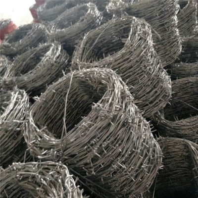 Double-Strand Galvanized Plastic-Coated Front and Back Twisting Barbed Wire Anti-Climbing Barbed Wire Orchard Isolation Barbed Wire Net Manufacturer