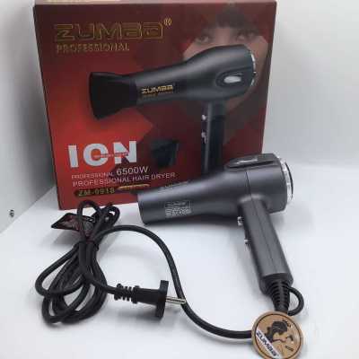 Heating and Cooling Air Special Oversized Single Wind Collector Large, Black Household Anion AC Motor High Power Hair Dryer