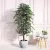 Interior Decoration Simulation Banyan Tree Green Plant Ground Floriculture Potted Window Office Home Ornaments Bonsai