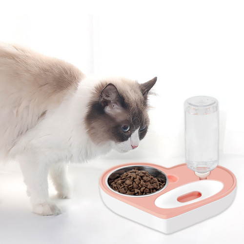 amazon new automatic drinking stainless steel cat anti-knock rice bowl pet dual-purpose dog bowl with bottle water feeding bowl