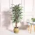 Interior Decoration Simulation Banyan Tree Green Plant Ground Floriculture Potted Window Office Home Ornaments Bonsai