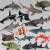 80 Simulation Great White Shark Whale Shark Marine Life Model Sea Turtle Penguin Underwater World Children's Animal Toys