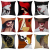 Short Plush Printed Pillow Sofa Cushion Living Room Pillow Cover without Core