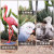 Animal Model Solid Simulation Toy Set Flying Bird Bird Eagle Parrot Peacock Flamingo Decoration Ornaments