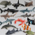 80 Simulation Great White Shark Whale Shark Marine Life Model Sea Turtle Penguin Underwater World Children's Animal Toys