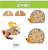 New Puzzle Beads round Beads Series Building Blocks Hedgehog Fruit Bead String Wooden Toys String Game