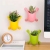 Creative Multi-Functional Wall-Mounted Small Flower Pot Office Green Plant Pot Pen Holder Kitchen Hanging Basket Storage Box Small Flower Pot