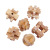 Beech Interlocked Mini Small Sized Release Ring Burr Puzzle Chinese String Puzzle Children Student Intelligence Brainy Nine-Piece Suit