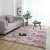 Customizable Silk Hair Tie-Dyed Home Living Room Carpet Bedroom Bedside Full Carpet Door Mat Balcony Cushion