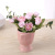 2019 Creative New Simulation Flower Pot Shooting Props Gardening Fake Flower Living Room Decoration Factory Wholesale