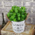 American Artificial Flower Artificial Dining Table Home Pot Photographic Ornaments Fresh Artificial Plant Valentine's Day Gift