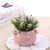 Creative New Fake Flower and Greenery Home Decoration Simulation Flower Pot Photographic Ornaments Gardening Plant Factory Wholesale