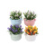 Creative New Fake Flower and Greenery Home Decoration Simulation Flower Pot Photographic Ornaments Gardening Plant Factory Wholesale