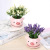 Creative New Office Fresh Floral Potted Simulation Fake Flower and Greenery Domestic Ornaments Factory Wholesale
