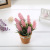 2019 New Artificial Flower Mini Potted Photo Props Artificial Plant Valentine's Day Gift Yiwu Factory Customization