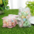 Cross-Border Plastic Transparent Cartoon Bear Candy Box Candy Box Wedding Wedding Gift Box Food Packaging