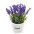 Artificial Flower Bonsai Set Lavender Fake Flowerpot Decoration Crafts Ceramic Love Cup Decoration Factory Wholesale