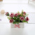 2019 Hot-Selling Ceramic Simulation Plant Living Room Bonsai Plant Customization Decoration Simulation Flower Valentine's Day Gift Customization