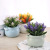 Spring New Simulation Flower Pot Artificial Plant Valentine's Day Gift Customized Home Living Room Fake Flower Bonsai