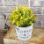 Creative Wrought Iron Simulation Flower Pot Home Living Room Fake Flower Bonsai Simulation Plant Valentine's Day Gift Customization