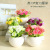 Factory Direct Sales Ceramic Flowerpot Artificial Flower Set Home Crafts Decoration Fake Flower Silk Flower