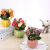 Spring New Simulation Flower Pot Artificial Plant Valentine's Day Gift Customized Home Living Room Fake Flower Bonsai