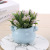 Spring New Simulation Flower Pot Artificial Plant Valentine's Day Gift Customized Home Living Room Fake Flower Bonsai