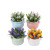 Spring New Simulation Flower Pot Artificial Plant Valentine's Day Gift Customized Home Living Room Fake Flower Bonsai