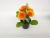 New Black Pot Chrysanthemum Artificial Flower Bonsai Artificial Flower Office Small Decoration Plastic Flower