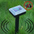 Solar Mousetrap Solar Plug-in Ultrasonic Mouse Expeller Hotel Farm Garden Rice Field Snake Repellent