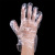Low Pressure Disposable PE Gloves Catering Crayfish Beauty and Hairdressing Transparent Thickened Gloves Plastic Large Gloves
