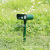Solar Infrared Flash Ultrasonic Drive Cat and Dog Electronic Sonic Animal Repeller Light Bird Repellent