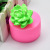 DIY Baking Succulent Modeling Three-Dimensional Succulent Fondant Cake Decoration Clay Silicone Mold