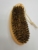 Plastic Handle Shoe Brush, Pp Material, Bristle, Good Care Assistant