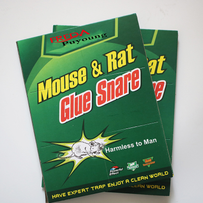 Explosion Glue Mouse Traps Manufacturers Currently Available