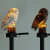 Xinyuan Solar Owl Lawn Lamp Led Spot Light Outdoor Garden Decoration Garden Lamp Landscape Lamp