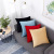 Yl152 Nordic Style Netherlands Velvet Couch Pillow Simple Solid Color Office Cushion Lumbar Support Pillow