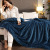 Double-Layer Thick Warm Magic Velvet with Berber Fleece Blanket Flannel Coral Fleece Quilt Sheets Winter Blanket