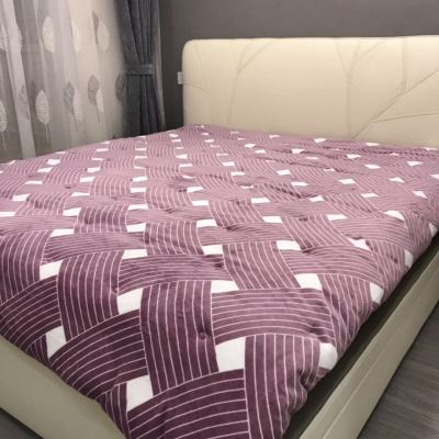 Winter Thermal Flannel Quilt Three-Layer Thickened Feather Silk Cotton Quilt for Free Flannel Pillowcase Net Weight 8.6 Jin