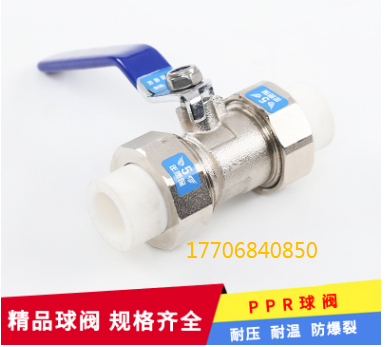 Copper Ppr20 25 32 40 50 63 Double Loose Joint Valve Switch Hot Melt Thickened Household Tap Water Valve