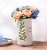 Simple Modern European and American Country Style Ceramic Vase Decoration Crafts